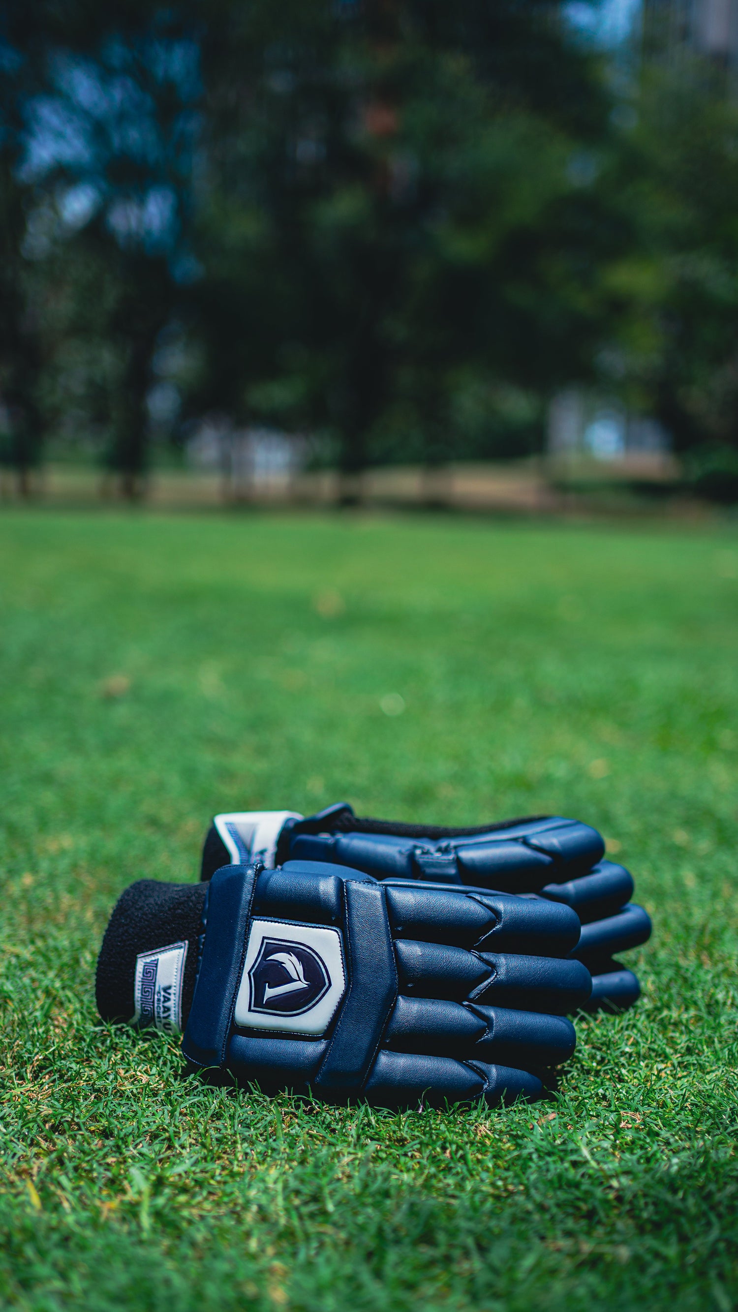 Gloves